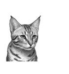 AI・モノクロ猫③(言葉なし)（個別スタンプ：30）