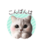 毎日使える♥かわいすぎる猫♥（個別スタンプ：8）