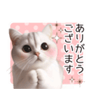 毎日使える♥かわいすぎる猫♥（個別スタンプ：15）