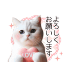 毎日使える♥かわいすぎる猫♥（個別スタンプ：16）