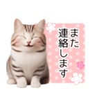 毎日使える♥かわいすぎる猫♥（個別スタンプ：24）