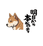 柴犬好きの為のスタンプ（個別スタンプ：1）