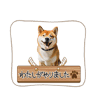 柴犬好きの為のスタンプ（個別スタンプ：7）