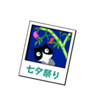 猫も夏遊び（個別スタンプ：8）