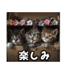 ゆかいな猫たちスタンプ（個別スタンプ：24）