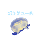 癒しのシンガーソングクラゲー（個別スタンプ：6）