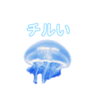 癒しのシンガーソングクラゲー（個別スタンプ：7）