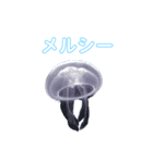癒しのシンガーソングクラゲー（個別スタンプ：8）