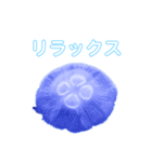 癒しのシンガーソングクラゲー（個別スタンプ：36）