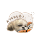 めりのちゃん_202405（個別スタンプ：2）