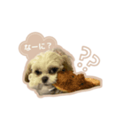 めりのちゃん_202405（個別スタンプ：3）