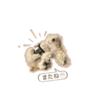 めりのちゃん_202405（個別スタンプ：4）