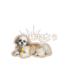 めりのちゃん_202405（個別スタンプ：5）