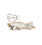 めりのちゃん_202405（個別スタンプ：6）