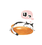 動く！ねこパン（個別スタンプ：12）