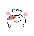 もちにゃみ（個別スタンプ：2）