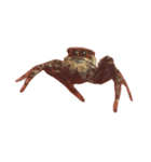 色んなハエトリグモJumping spider（個別スタンプ：2）
