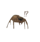 色んなハエトリグモJumping spider（個別スタンプ：7）