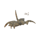 色んなハエトリグモJumping spider（個別スタンプ：14）