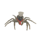 色んなハエトリグモJumping spider（個別スタンプ：22）