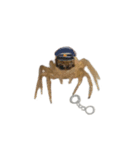 色んなハエトリグモJumping spider（個別スタンプ：23）