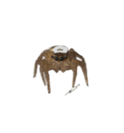 色んなハエトリグモJumping spider（個別スタンプ：24）