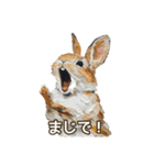 使える！アクリル動物園（個別スタンプ：2）