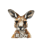 使える！アクリル動物園（個別スタンプ：21）