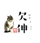 野良猫山田の二字熟語スタンプ（個別スタンプ：5）