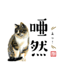 野良猫山田の二字熟語スタンプ（個別スタンプ：6）