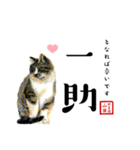 野良猫山田の二字熟語スタンプ（個別スタンプ：9）