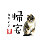 野良猫山田の二字熟語スタンプ（個別スタンプ：13）