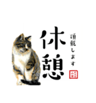 野良猫山田の二字熟語スタンプ（個別スタンプ：14）