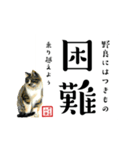 野良猫山田の二字熟語スタンプ（個別スタンプ：16）