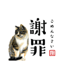 野良猫山田の二字熟語スタンプ（個別スタンプ：19）