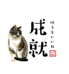 野良猫山田の二字熟語スタンプ（個別スタンプ：20）