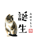 野良猫山田の二字熟語スタンプ（個別スタンプ：22）