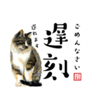 野良猫山田の二字熟語スタンプ（個別スタンプ：23）