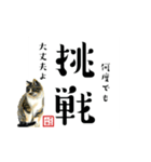 野良猫山田の二字熟語スタンプ（個別スタンプ：24）