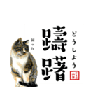 野良猫山田の二字熟語スタンプ（個別スタンプ：25）