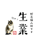 野良猫山田の二字熟語スタンプ（個別スタンプ：26）