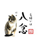 野良猫山田の二字熟語スタンプ（個別スタンプ：28）