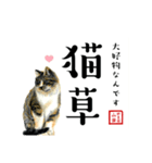 野良猫山田の二字熟語スタンプ（個別スタンプ：29）