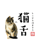 野良猫山田の二字熟語スタンプ（個別スタンプ：30）