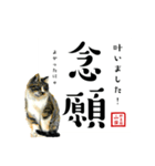 野良猫山田の二字熟語スタンプ（個別スタンプ：32）