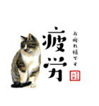 野良猫山田の二字熟語スタンプ（個別スタンプ：34）