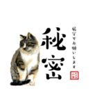 野良猫山田の二字熟語スタンプ（個別スタンプ：35）