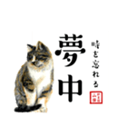 野良猫山田の二字熟語スタンプ（個別スタンプ：36）