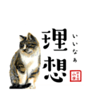 野良猫山田の二字熟語スタンプ（個別スタンプ：37）