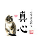 野良猫山田の二字熟語スタンプ（個別スタンプ：39）